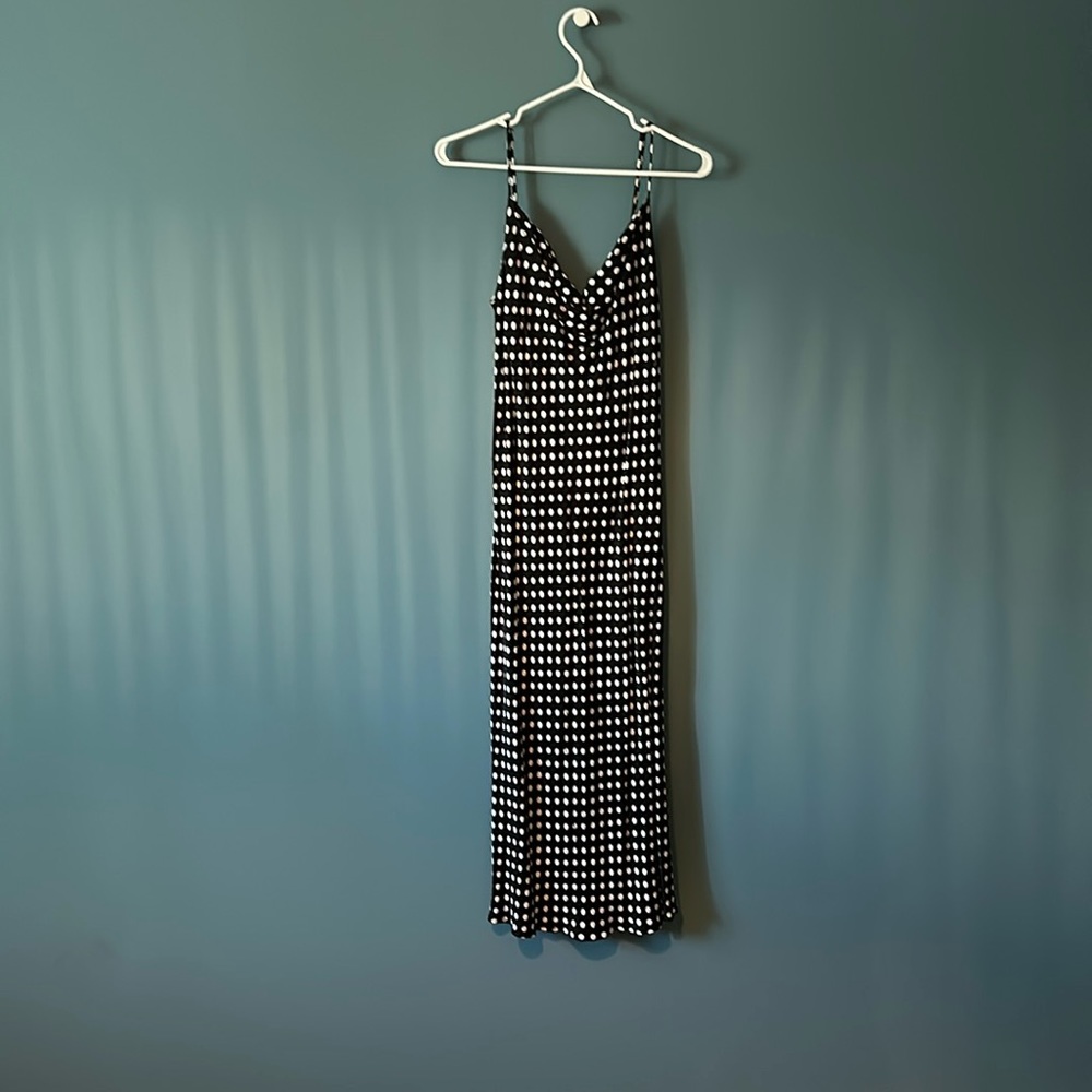 Zara Polka Dot Dress